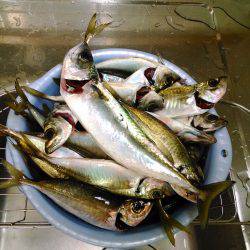 岩屋一文字で一泊